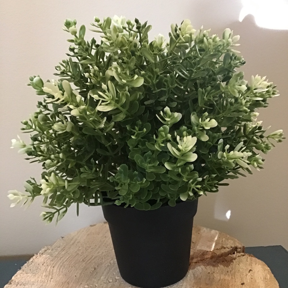 Faux Greenery